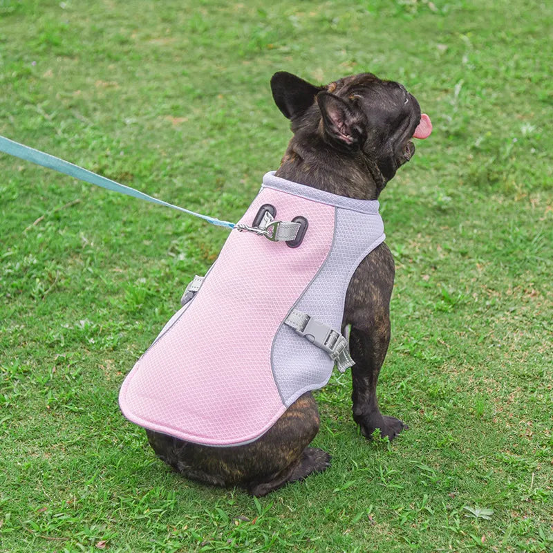 Dog Cooling Vest - Breathable Summer Vest for Dogs