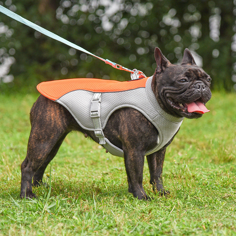 Dog Cooling Vest - Breathable Summer Vest for Dogs